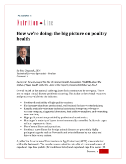How we`re doing: the big picture on poultry health