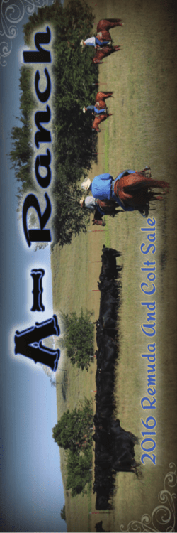A Bar Remuda Catalog 2016