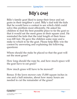Billy`s Goat