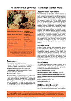 Neamblysomus gunningi - Endangered Wildlife Trust