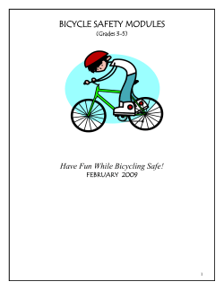 bicycle safety modules