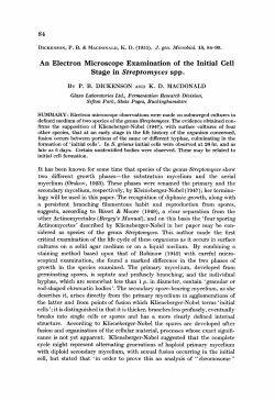 An Electron Microscope Examination of the Initial Cell
