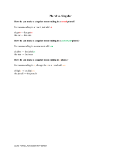 Plural vs. Singular