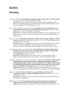 Rabbits Housing - Rus-LASA