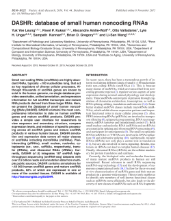DASHR: database of small human noncoding RNAs
