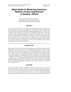 Mass Death of Wintering American Robins
