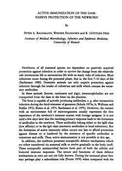 Active Immunization of the Dam. Passive Protection of the Newborn.