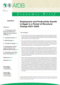 Economic Brief - Employment and Productivity Growth in Egypt in a