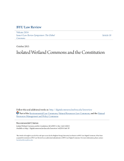 Isolated Wetland Commons and the Constitution