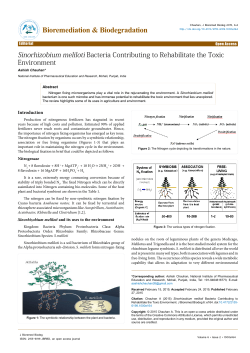 Peer-reviewed Article PDF