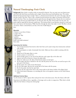 Fruit Clock - the NAWCC!