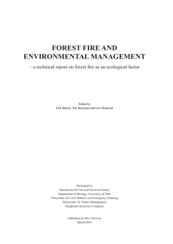 forest fire and environmental management