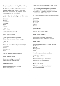 roots-stems-and-leaves-book-reading