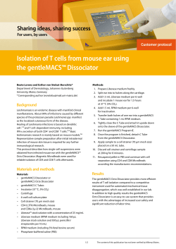 Isolation of T cells from mouse ear using the