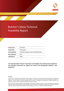 Butcher`s Glove Technical Feasibility Report