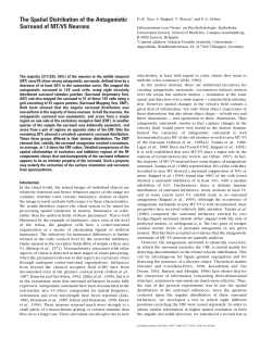 The spatial distribution of the antagonistic surround of MT/V5 neurons.