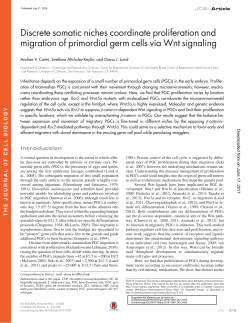 Discrete somatic niches coordinate proliferation and migration of