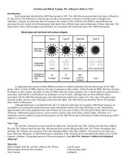 Complex Inheritance Patterns