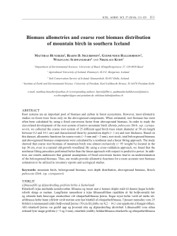 Biomass allometries and coarse root biomass