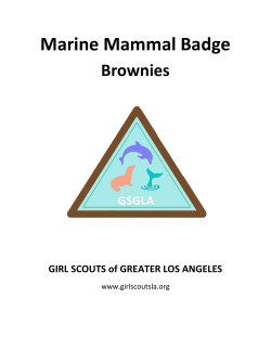 Marine Mammal Badge for Brownies