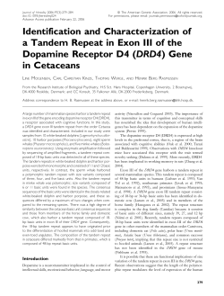 Identification and Characterization of a Tandem Repeat in Exon III of