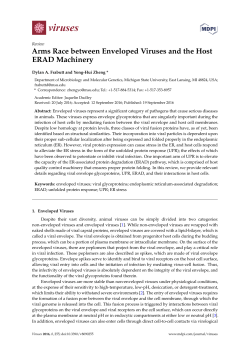 Arms Race between Enveloped Viruses and the Host ERAD