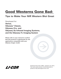 Good Western Gone Bad: Tips to Make Your - LI