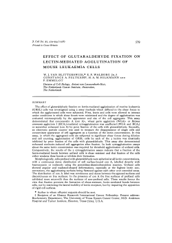 effect of glutaraldehyde fixation on lectin
