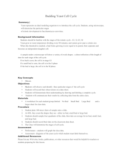 Budding Yeast Cell Cycle