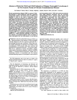 Absence of Both the 9lkD and 22kD Subunits of