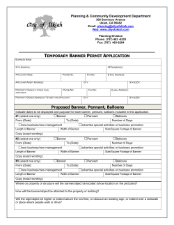 Proposed Banner, Pennant, Balloons