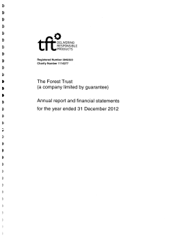 TFT Annual report 2012
