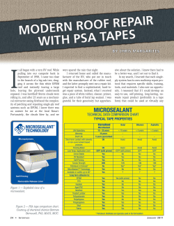 It all began with a torn RV roof. While pulling into our