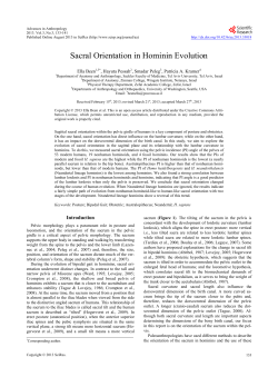 Sacral Orientation in Hominin Evolution