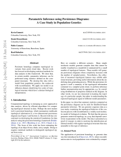 Parametric Inference using Persistence Diagrams: A Case Study in