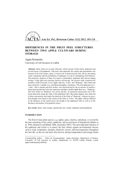 Differences in the fruit peel structures between