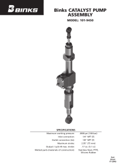 Binks CATALYST PUMP ASSEMBLY