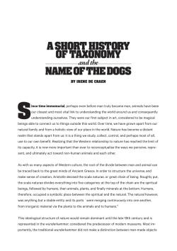 by Irene de - Toshie Takeuchi