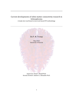 Thesis Do Tromp - Utrecht University Repository