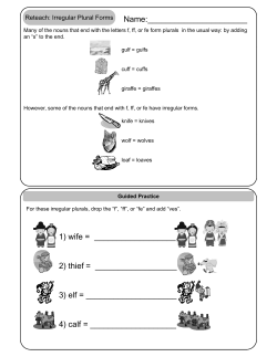 Reteach: Irregular Plural Forms