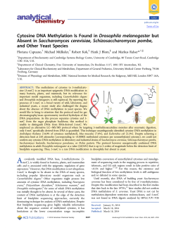 Cytosine DNA Methylation Is Found in Drosophila melanogaster but