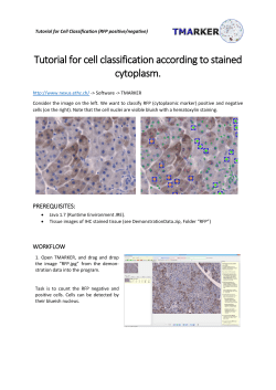 Tutorial for cell classification according to stained cytoplasm.