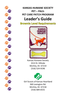 Guide for Brownie Level