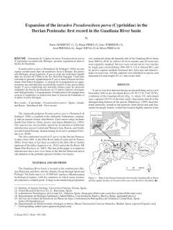 Expansion of the invasive Pseudorasbora parva