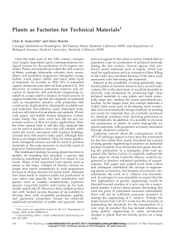 Plants as Factories for Technical Materials