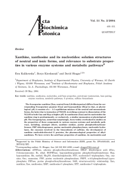 Xanthine, xanthosine and its nucleotides: solution structures of