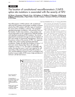 The location of constitutional neurofibromatosis 2