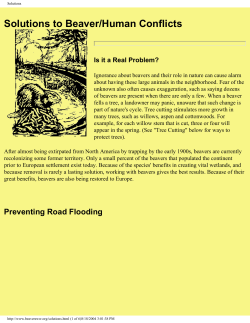 Solutions to Beaver/Human Conflicts