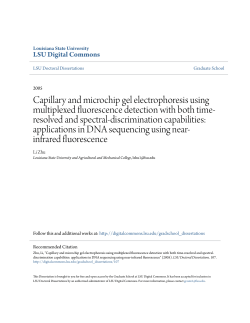 Capillary and microchip gel electrophoresis using multiplexed