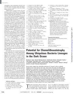 Potential for Chemolithoautotrophy Among Ubiquitous Bacteria